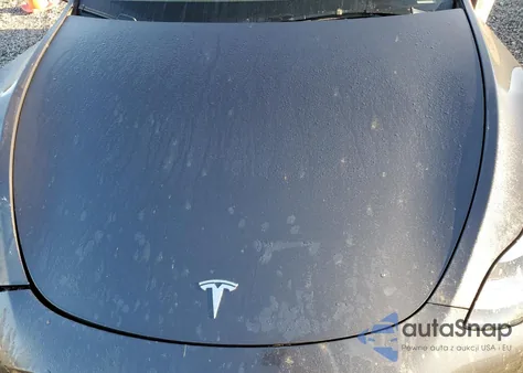 2024 Tesla Model Y из США, поврежденный, VIN 7SAYGDED2RF095759